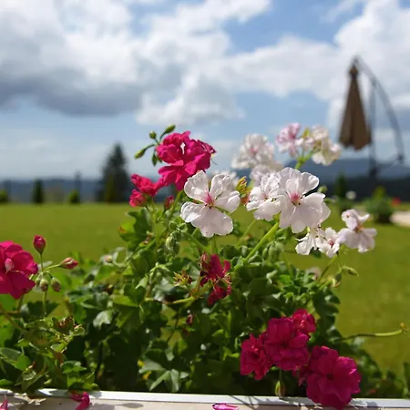 релакс Villa Pamporovo